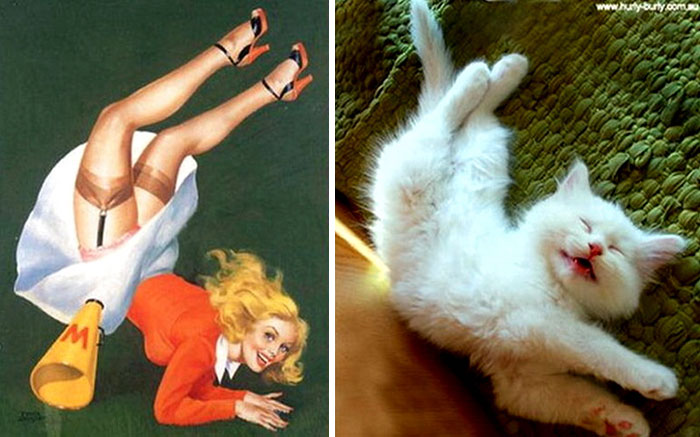 48 Cats Posing Like Pin Up Girls