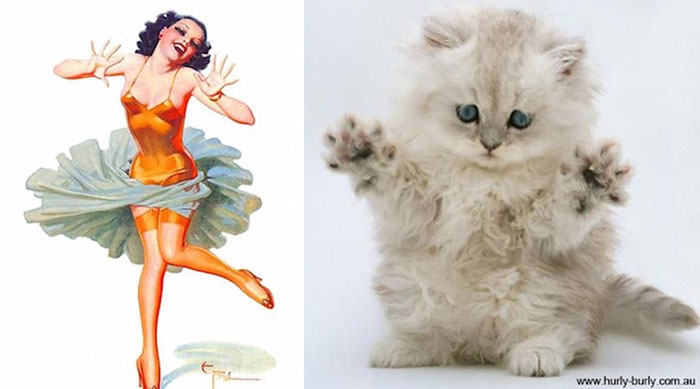 48 Cats Posing Like Pin Up Girls