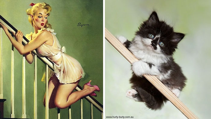 48 Cats Posing Like Pin Up Girls
