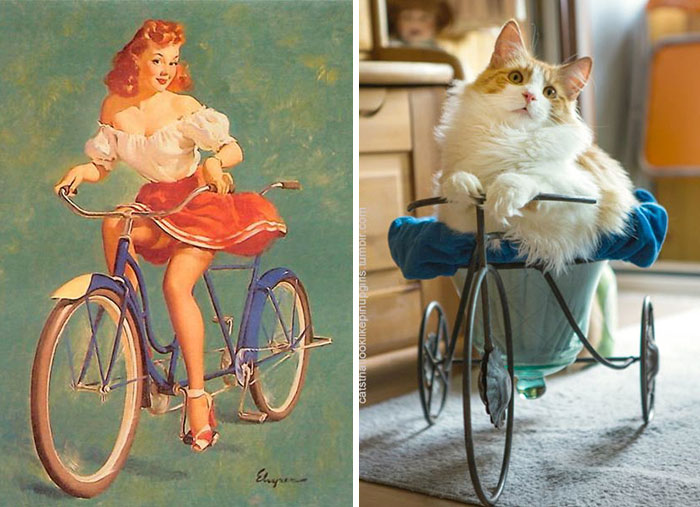 48 Cats Posing Like Pin Up Girls