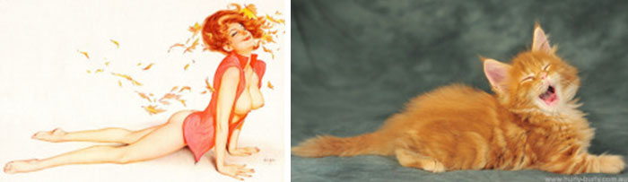 48 Cats Posing Like Pin Up Girls