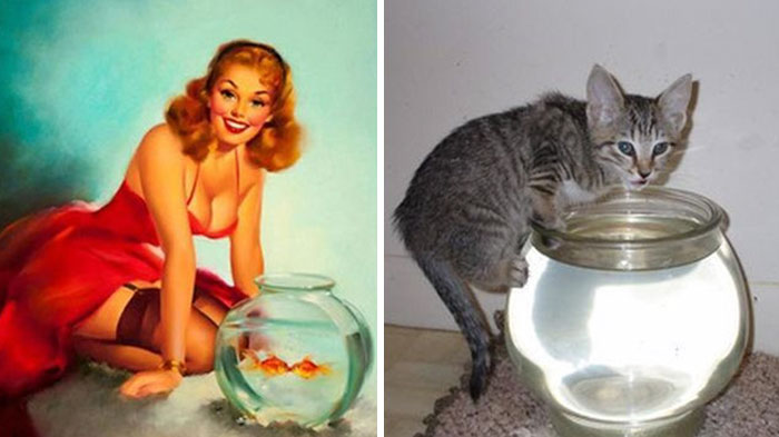 48 Cats Posing Like Pin Up Girls