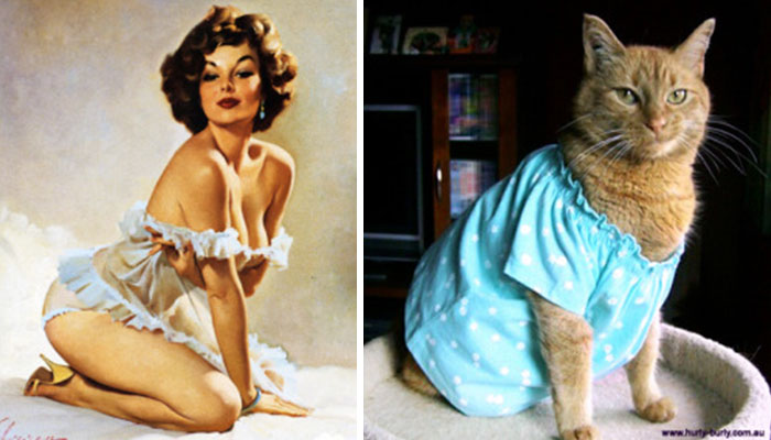 48 Cats Posing Like Pin Up Girls
