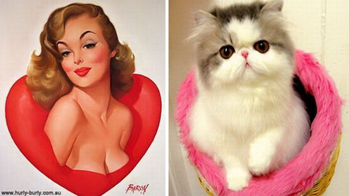 48 Cats Posing Like Pin Up Girls