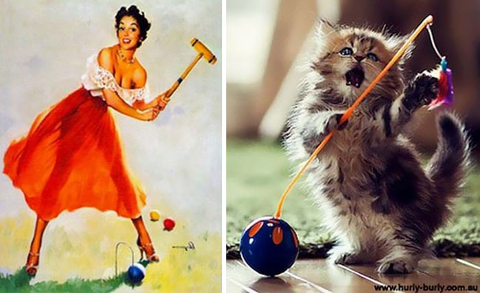 48 Cats Posing Like Pin Up Girls