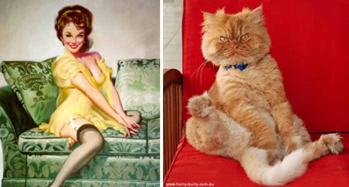 48 Cats Posing Like Pin Up Girls