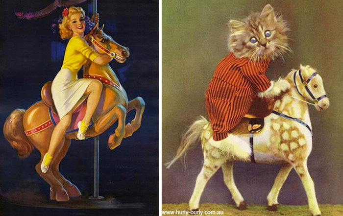 48 Cats Posing Like Pin Up Girls