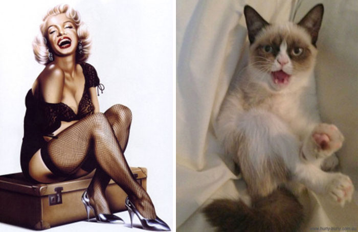 48 Cats Posing Like Pin Up Girls