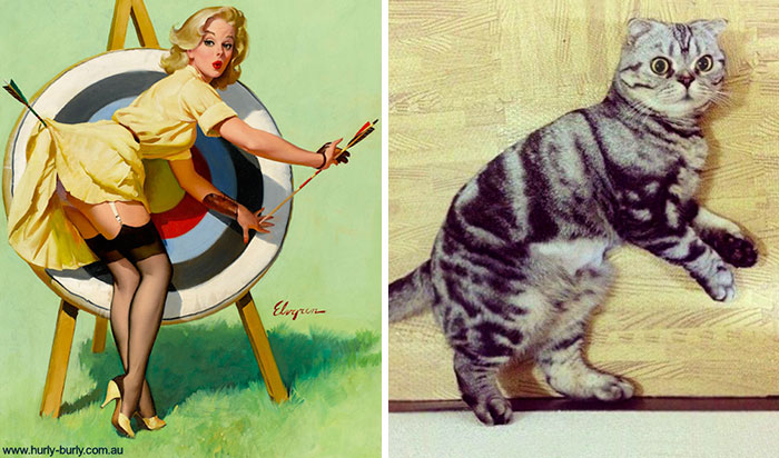 48 Cats Posing Like Pin Up Girls