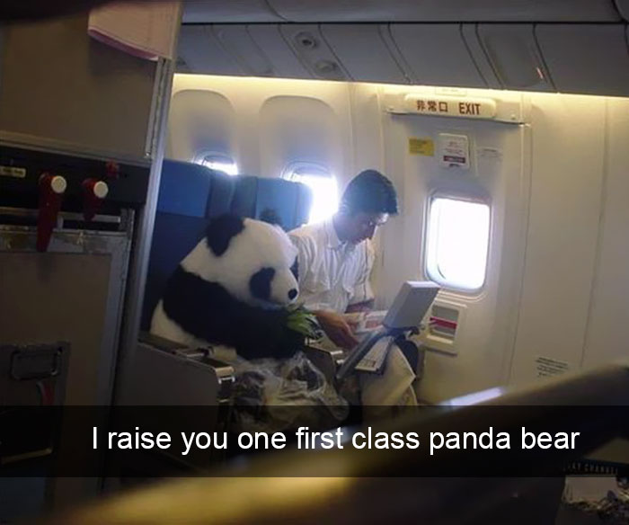153 Of The Funniest Things That Have Ever Happened On A Plane
