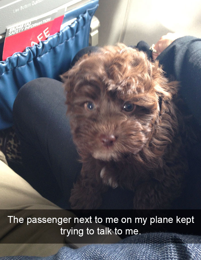 153 Of The Funniest Things That Have Ever Happened On A Plane