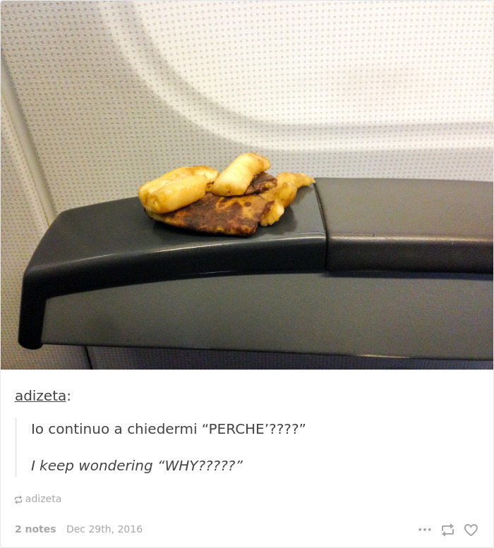 153 Of The Funniest Things That Have Ever Happened On A Plane