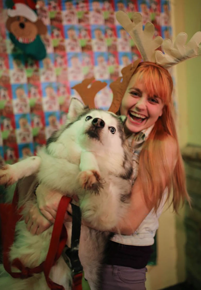 117 Dog Fails That&#8217;ll Make You Feel Guilty For Laughing