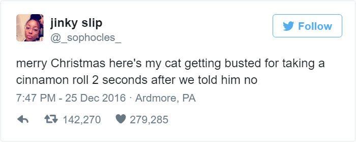 Cat Gets Caught Trying To Steal A Cinnamon Bun, And His Expression Says It All Cat Gets Caught Trying To Steal A Cinnamon Bun, And His Expression Says It All