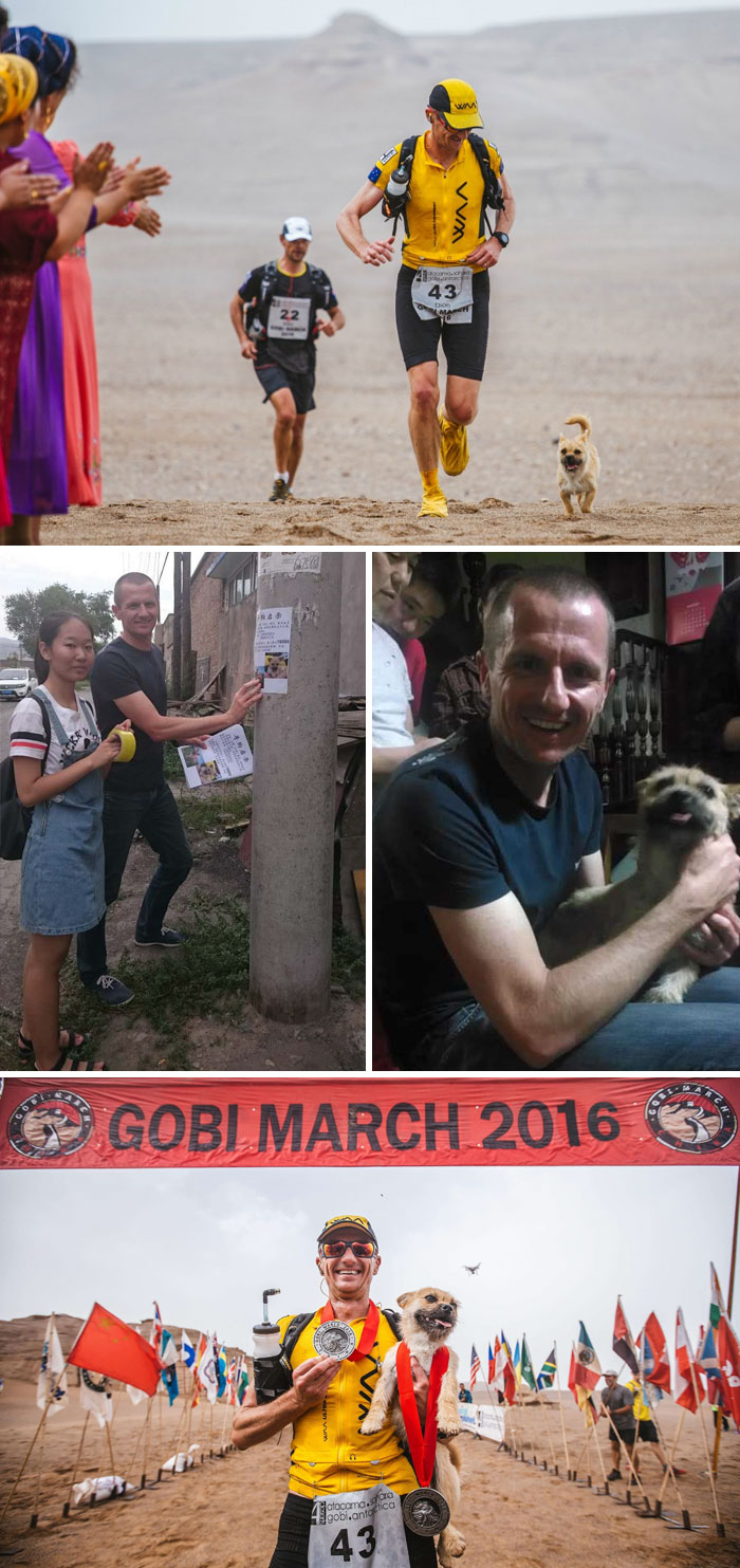 159 Animal Stories That Restored Our Faith In Humanity In 2016