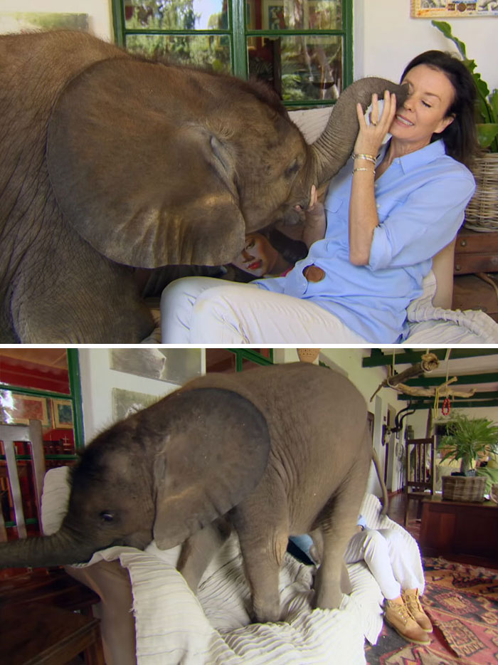 159 Animal Stories That Restored Our Faith In Humanity In 2016