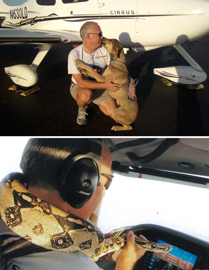 159 Animal Stories That Restored Our Faith In Humanity In 2016