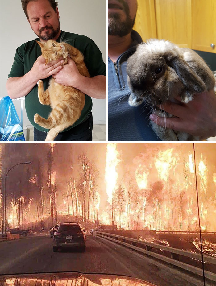 159 Animal Stories That Restored Our Faith In Humanity In 2016