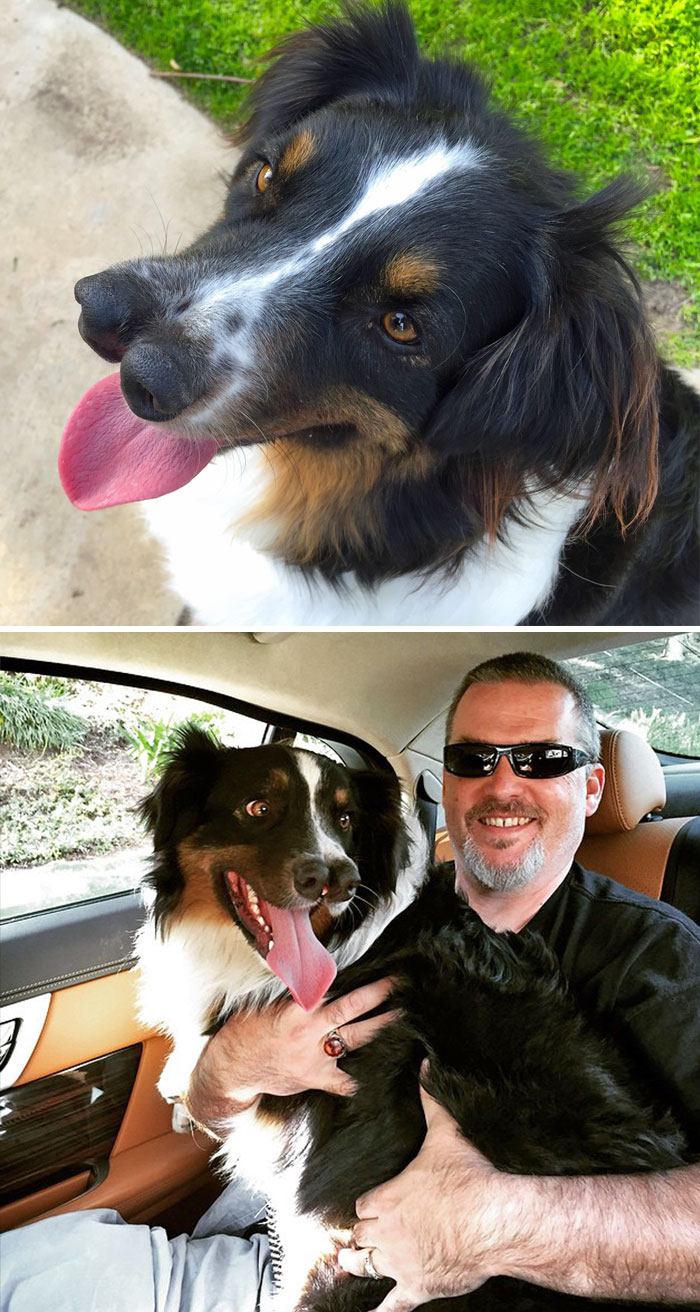 159 Animal Stories That Restored Our Faith In Humanity In 2016