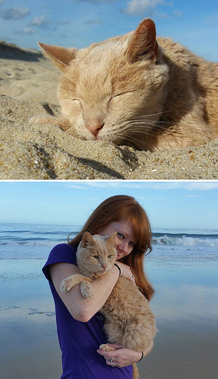 159 Animal Stories That Restored Our Faith In Humanity In 2016