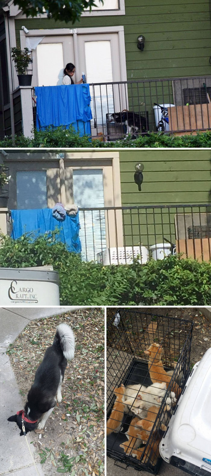 159 Animal Stories That Restored Our Faith In Humanity In 2016