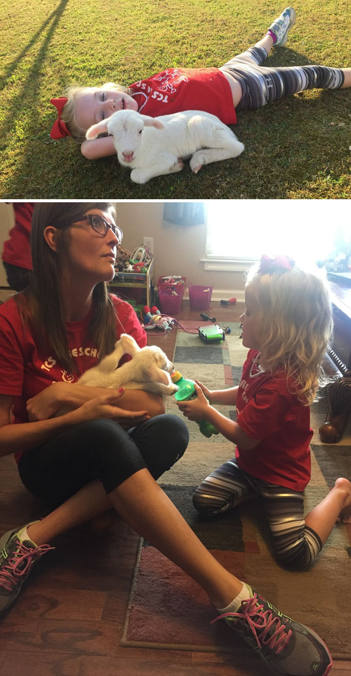 159 Animal Stories That Restored Our Faith In Humanity In 2016