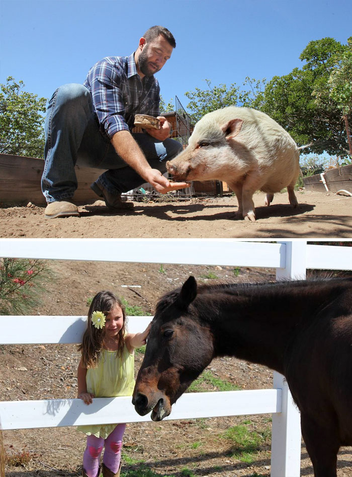 159 Animal Stories That Restored Our Faith In Humanity In 2016