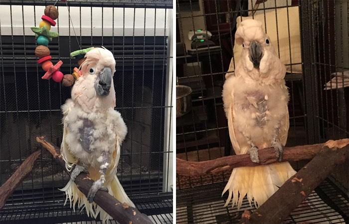 159 Animal Stories That Restored Our Faith In Humanity In 2016