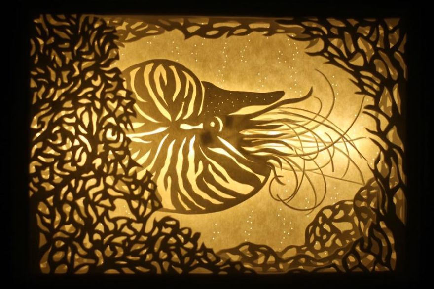 I Capture Dreams Using Paper And Light