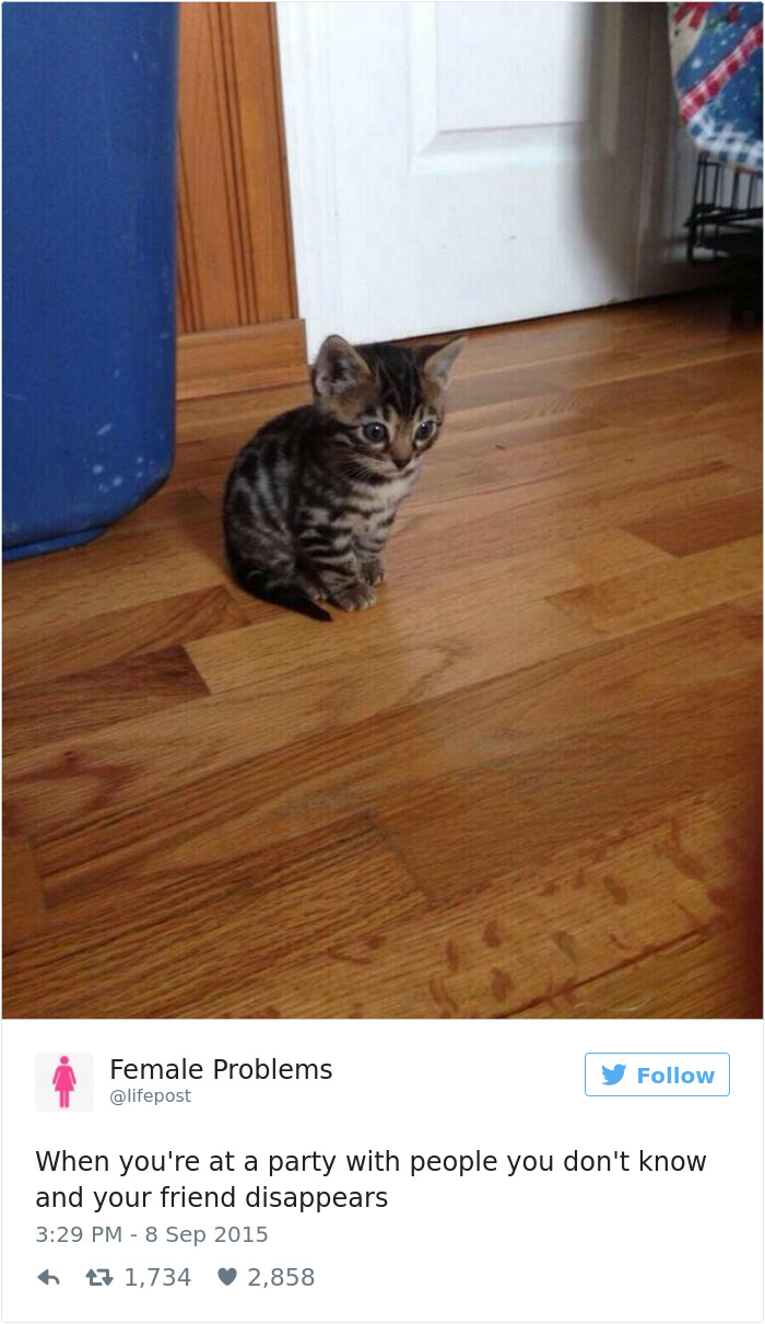 101 Introvert Problems That Hilariously Capture The Life Of An Introvert 101 Introvert Problems That Hilariously Capture The Life Of An Introvert