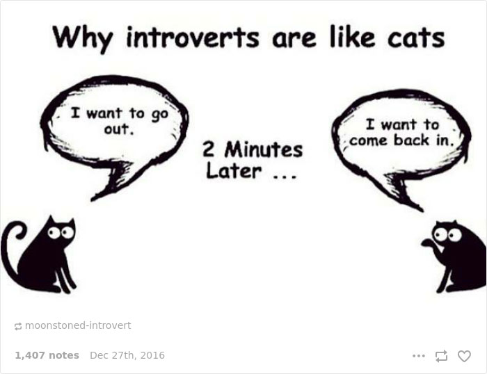 101 Introvert Problems That Hilariously Capture The Life Of An Introvert 101 Introvert Problems That Hilariously Capture The Life Of An Introvert