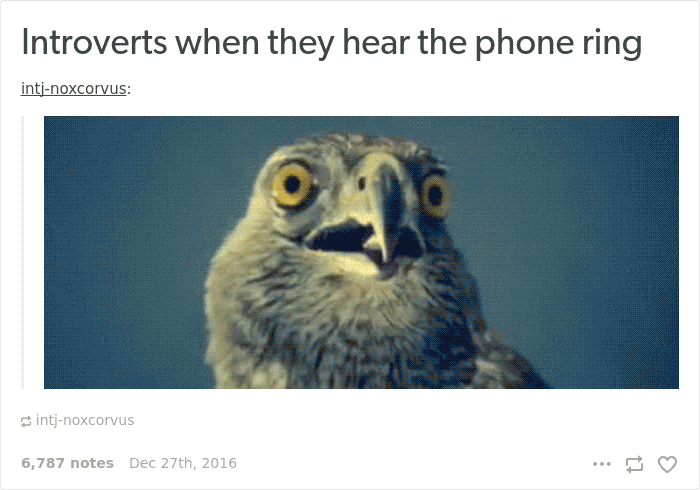 101 Introvert Problems That Hilariously Capture The Life Of An Introvert 101 Introvert Problems That Hilariously Capture The Life Of An Introvert