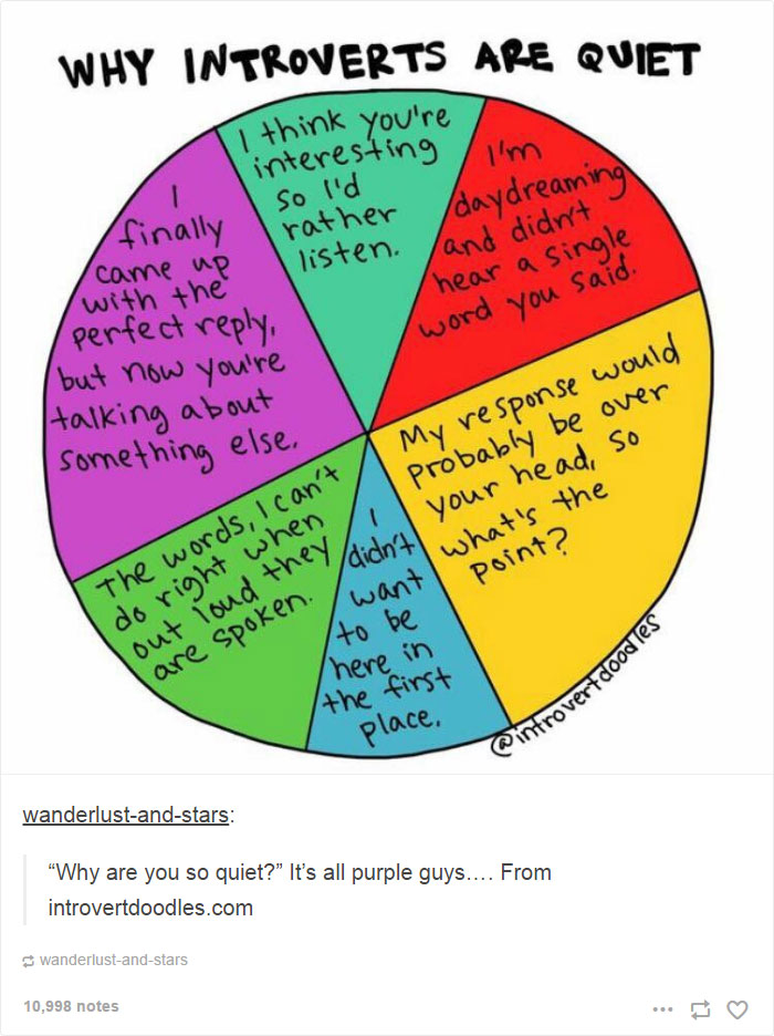 101 Introvert Problems That Hilariously Capture The Life Of An Introvert 101 Introvert Problems That Hilariously Capture The Life Of An Introvert