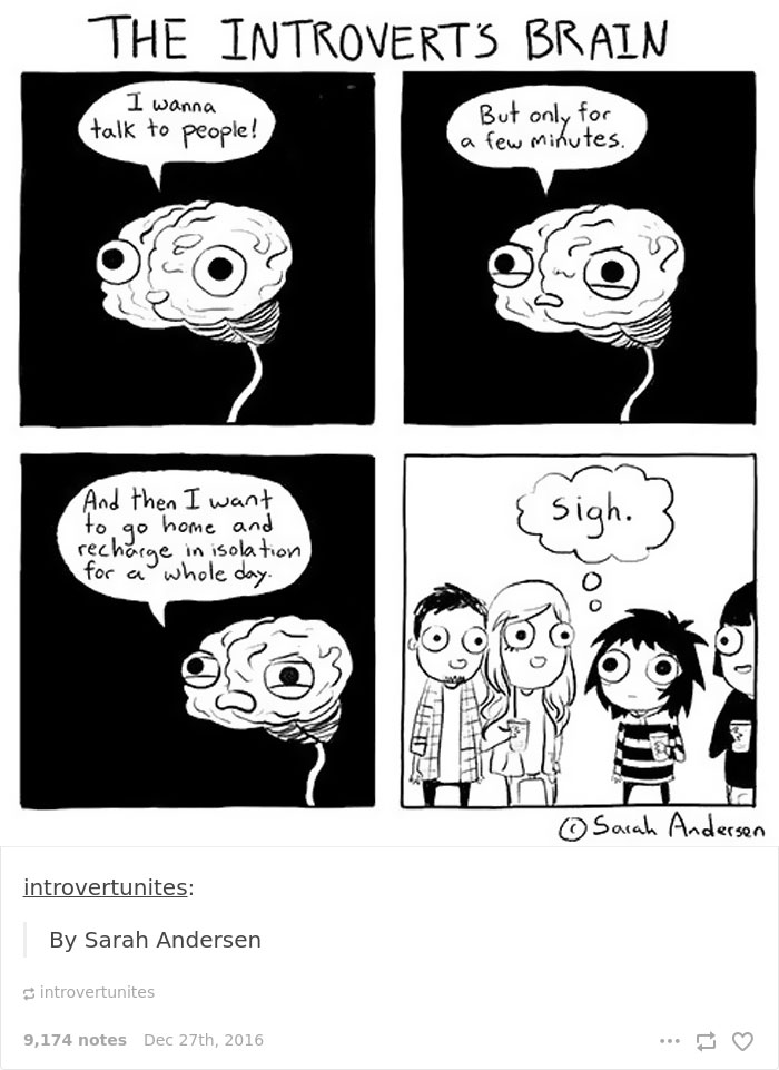 101 Introvert Problems That Hilariously Capture The Life Of An Introvert 101 Introvert Problems That Hilariously Capture The Life Of An Introvert