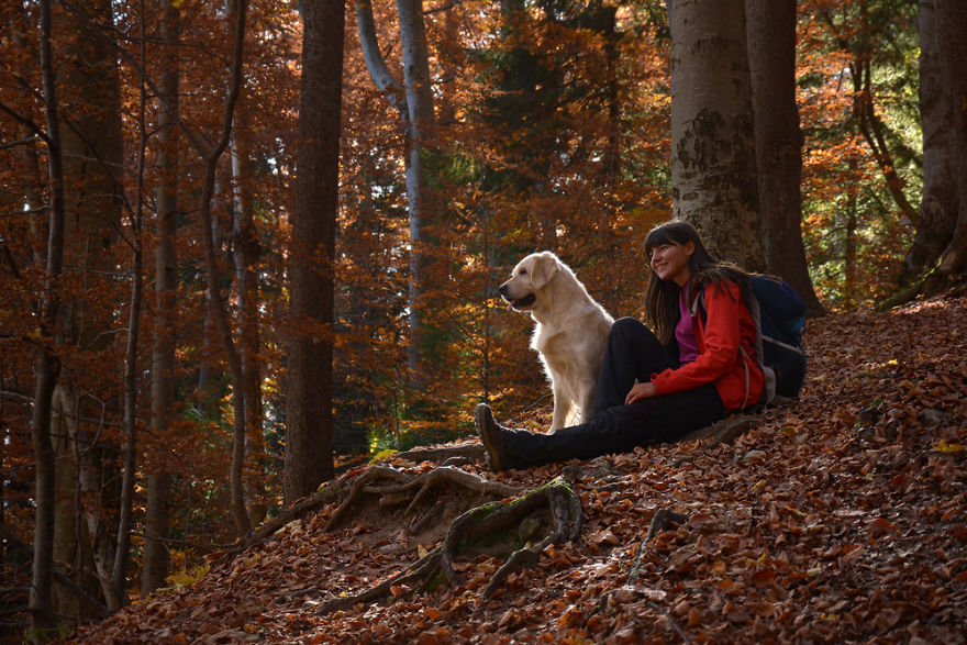 I Travel Romania With My Golden Retriever Geena Who Is The Best Travel Companion