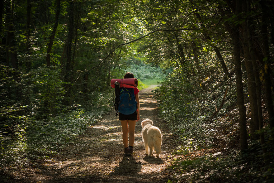 I Travel Romania With My Golden Retriever Geena Who Is The Best Travel Companion