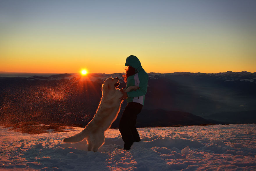 I Travel Romania With My Golden Retriever Geena Who Is The Best Travel Companion