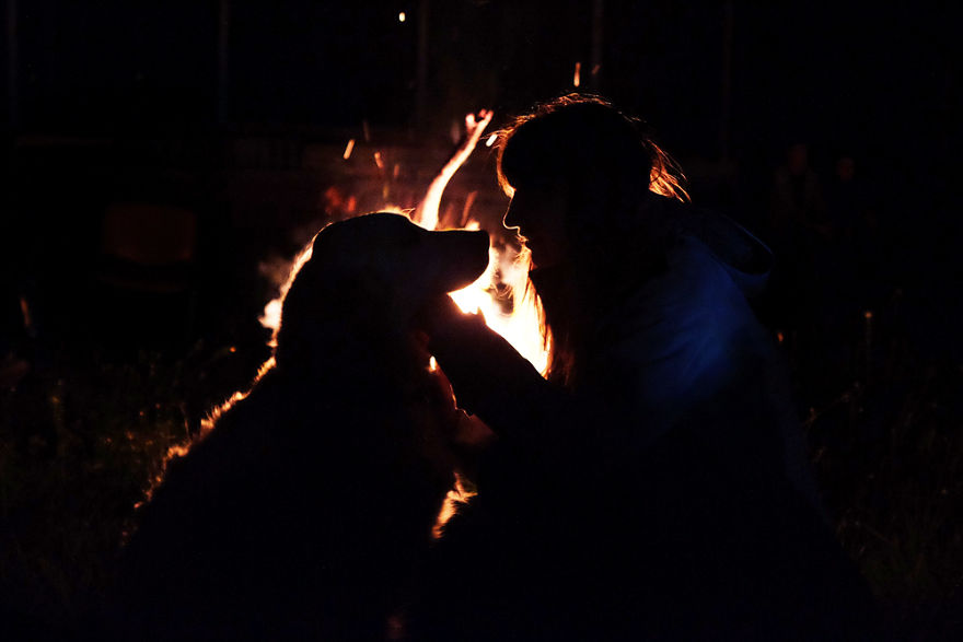 I Travel Romania With My Golden Retriever Geena Who Is The Best Travel Companion