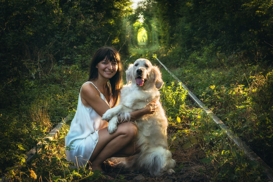 I Travel Romania With My Golden Retriever Geena Who Is The Best Travel Companion