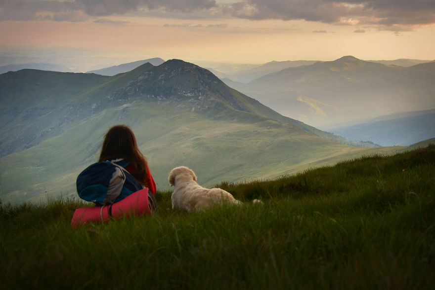 I Travel Romania With My Golden Retriever Geena Who Is The Best Travel Companion