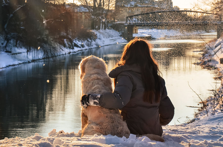 I Travel Romania With My Golden Retriever Geena Who Is The Best Travel Companion