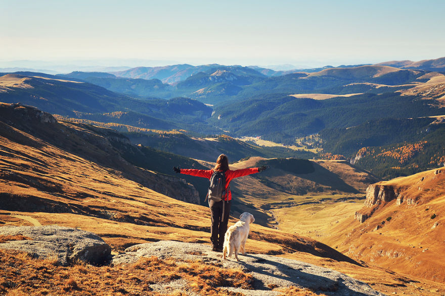 I Travel Romania With My Golden Retriever Geena Who Is The Best Travel Companion