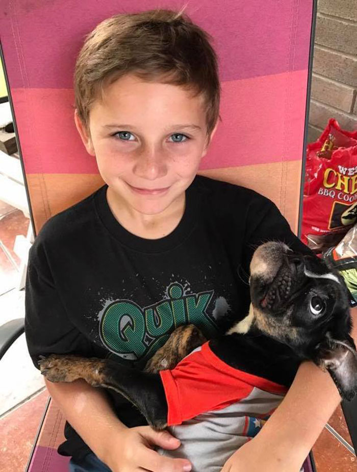 Dying Dog Found Locked Up In A Crate All Covered In Feces Gets Completely Transformed By Love Dying Dog Found Locked Up In A Crate All Covered In Feces Gets Completely Transformed By Love