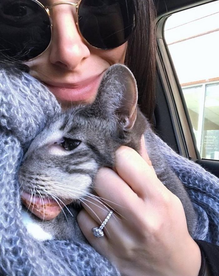 Cat With Giant Tumor Finally Gets Her Smile Back, But Now She’s Looking For Home Cat With Giant Tumor Finally Gets Her Smile Back, But Now She’s Looking For Home