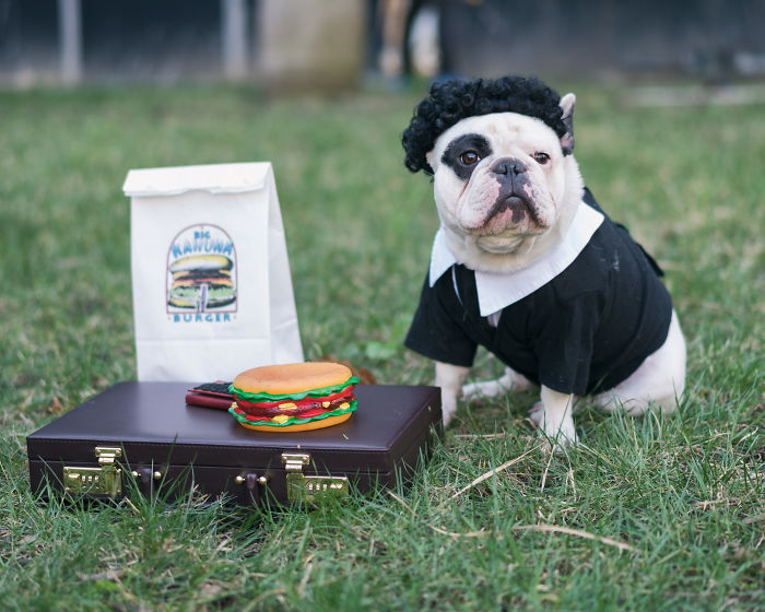 My Dog Looks Exactly Like The Bored Panda Logo My Dog Looks Exactly Like The Bored Panda Logo