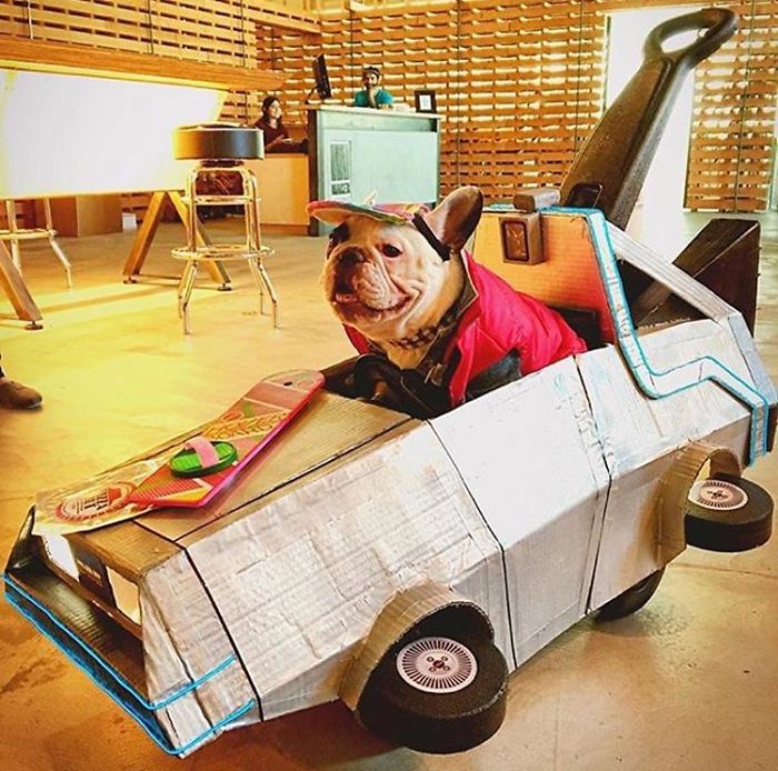 My Dog Looks Exactly Like The Bored Panda Logo My Dog Looks Exactly Like The Bored Panda Logo