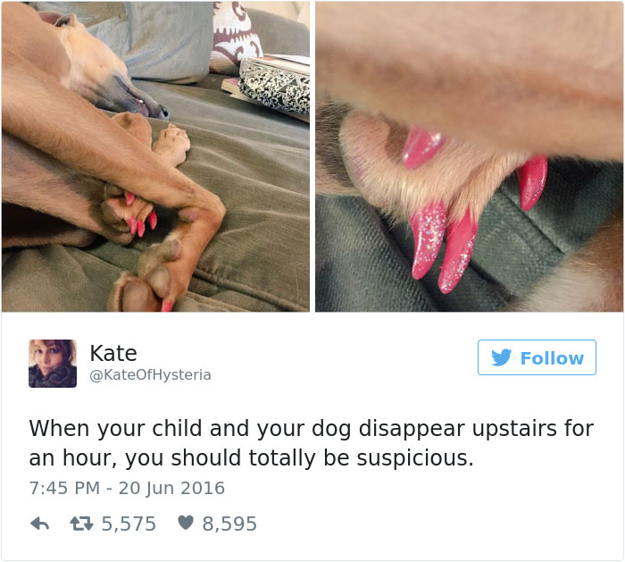 126 Of The Best Dog Tweets Of 2016 126 Of The Best Dog Tweets Of 2016
