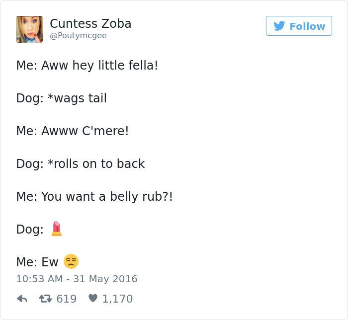 126 Of The Best Dog Tweets Of 2016 126 Of The Best Dog Tweets Of 2016