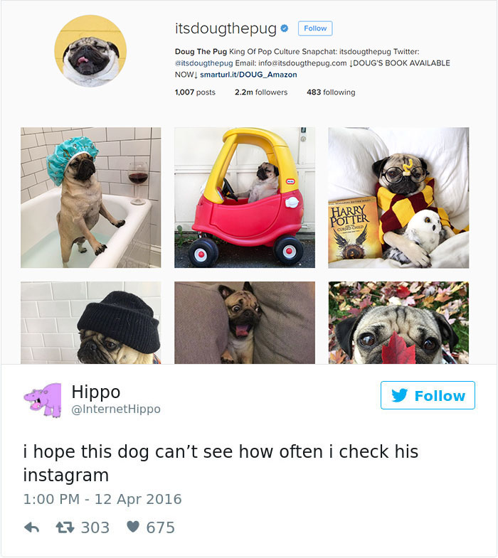 126 Of The Best Dog Tweets Of 2016 126 Of The Best Dog Tweets Of 2016