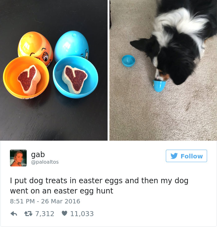 126 Of The Best Dog Tweets Of 2016 126 Of The Best Dog Tweets Of 2016